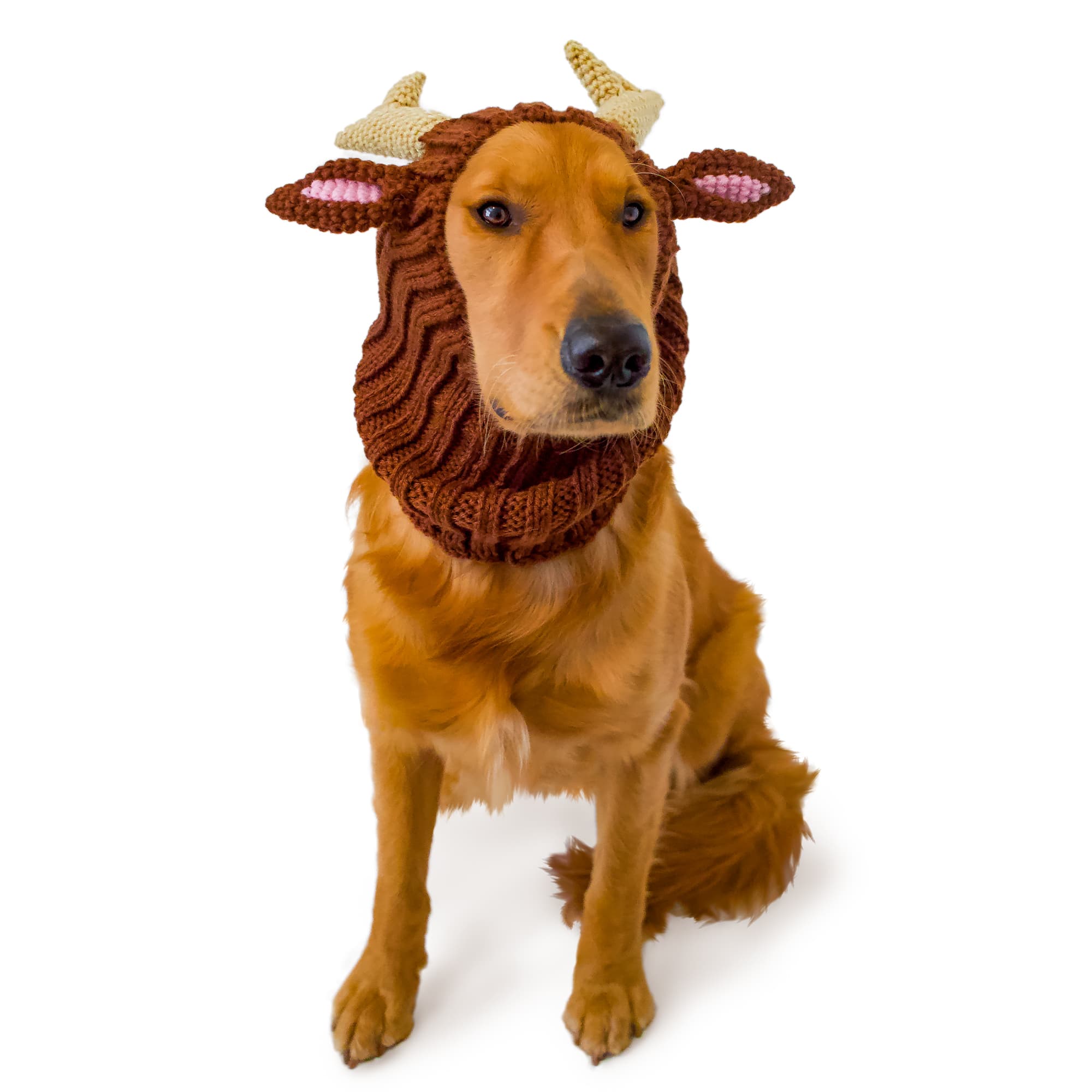Reindeer Dog Snood