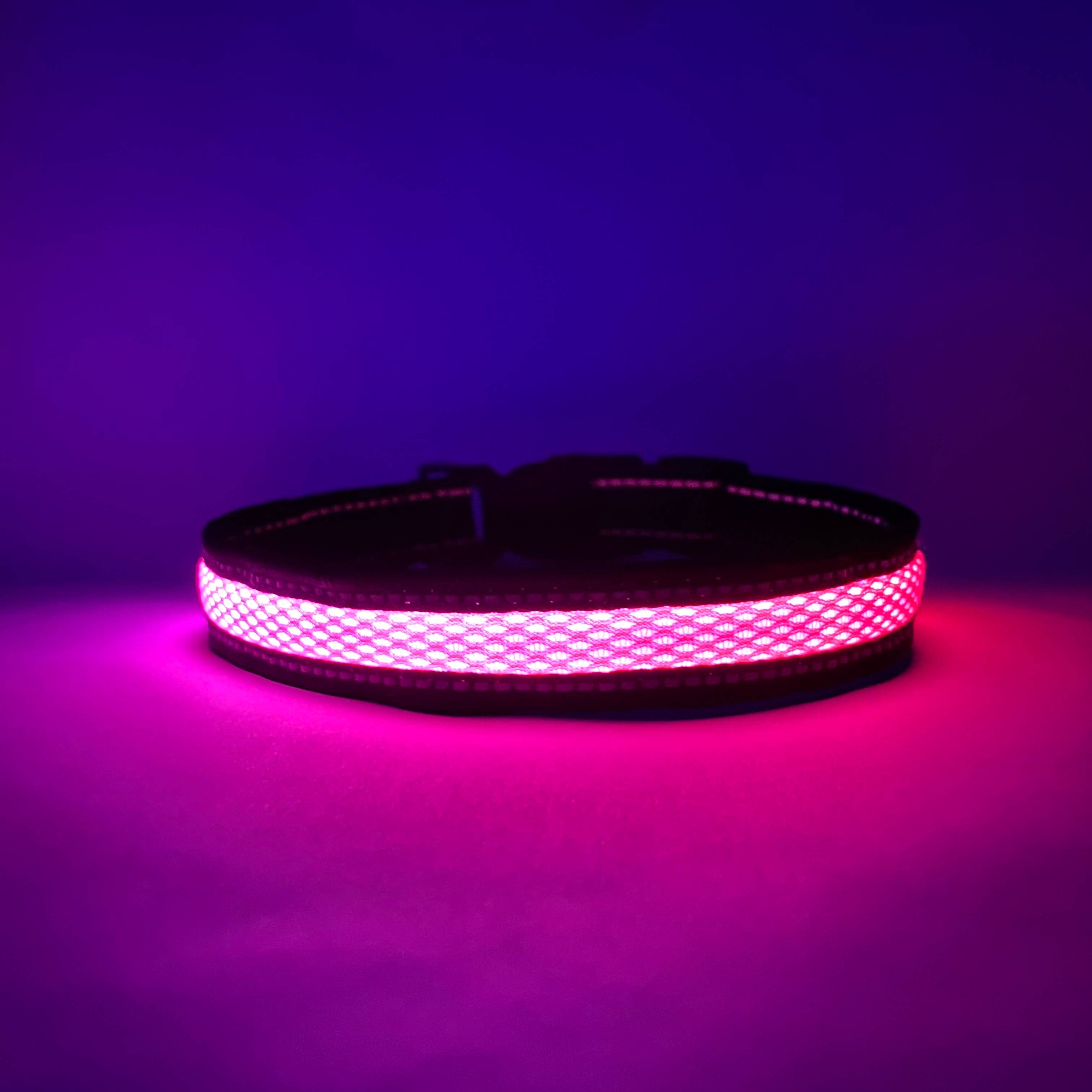 LED Dog Collar: Blue