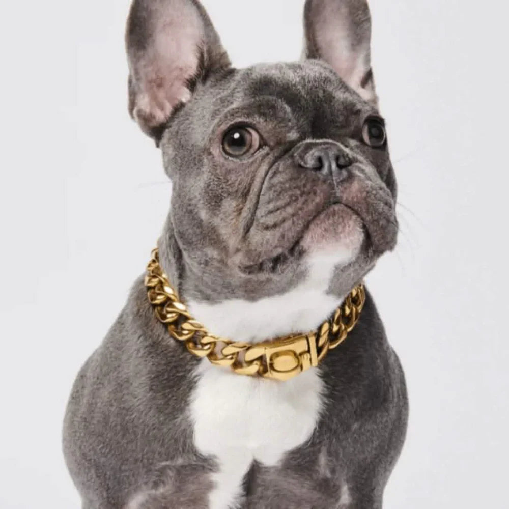 Cuban Link Chain Dog Collar - Gold