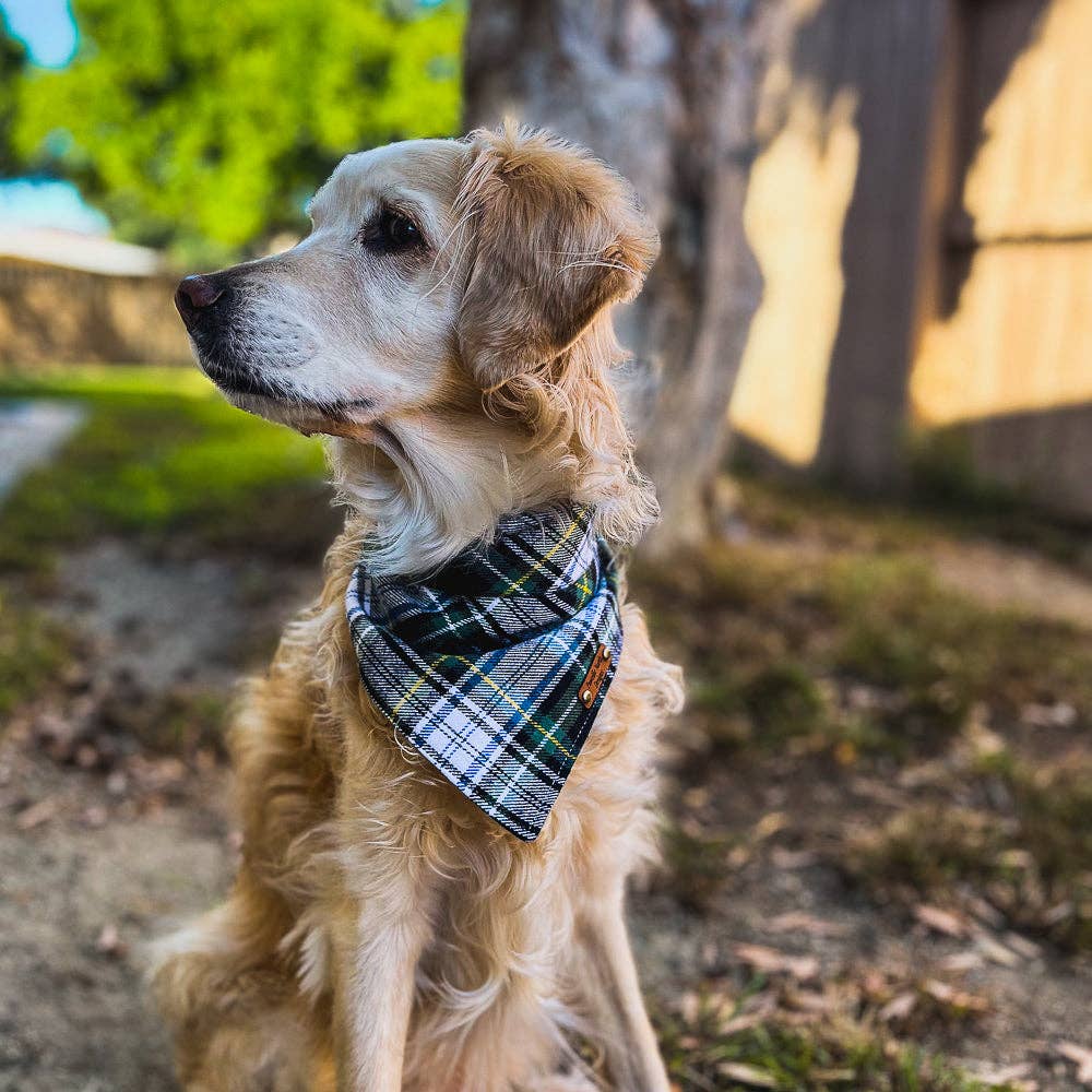 Colden Snap on Bandana