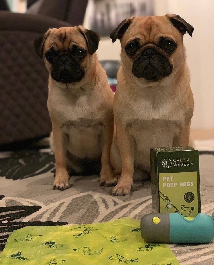 Poop Bag Dispenser with LED Flashlight: Seafoam