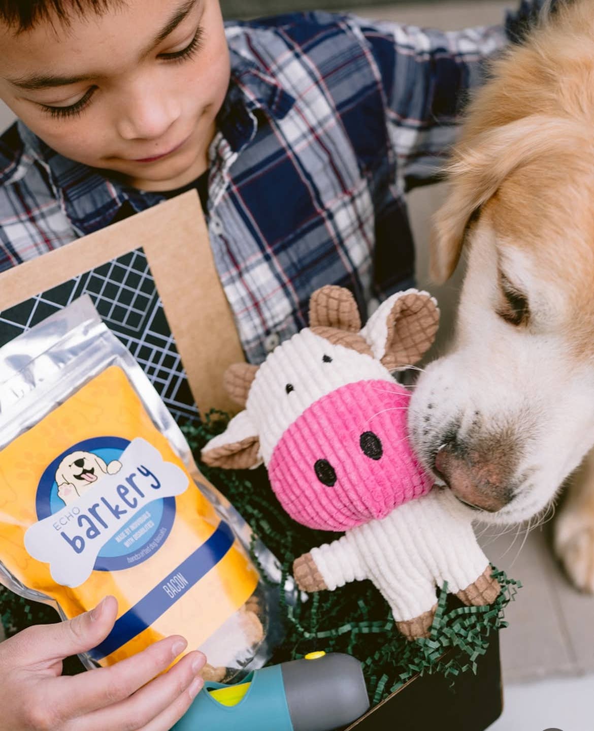Poop Bag Dispenser with LED Flashlight: Seafoam