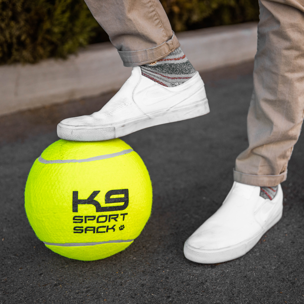 Too Big to Chew Tennis Ball