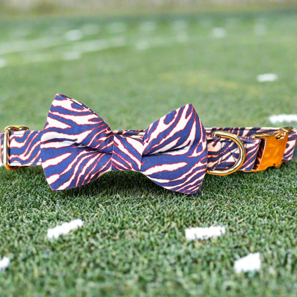 Game Day Collar & Bow