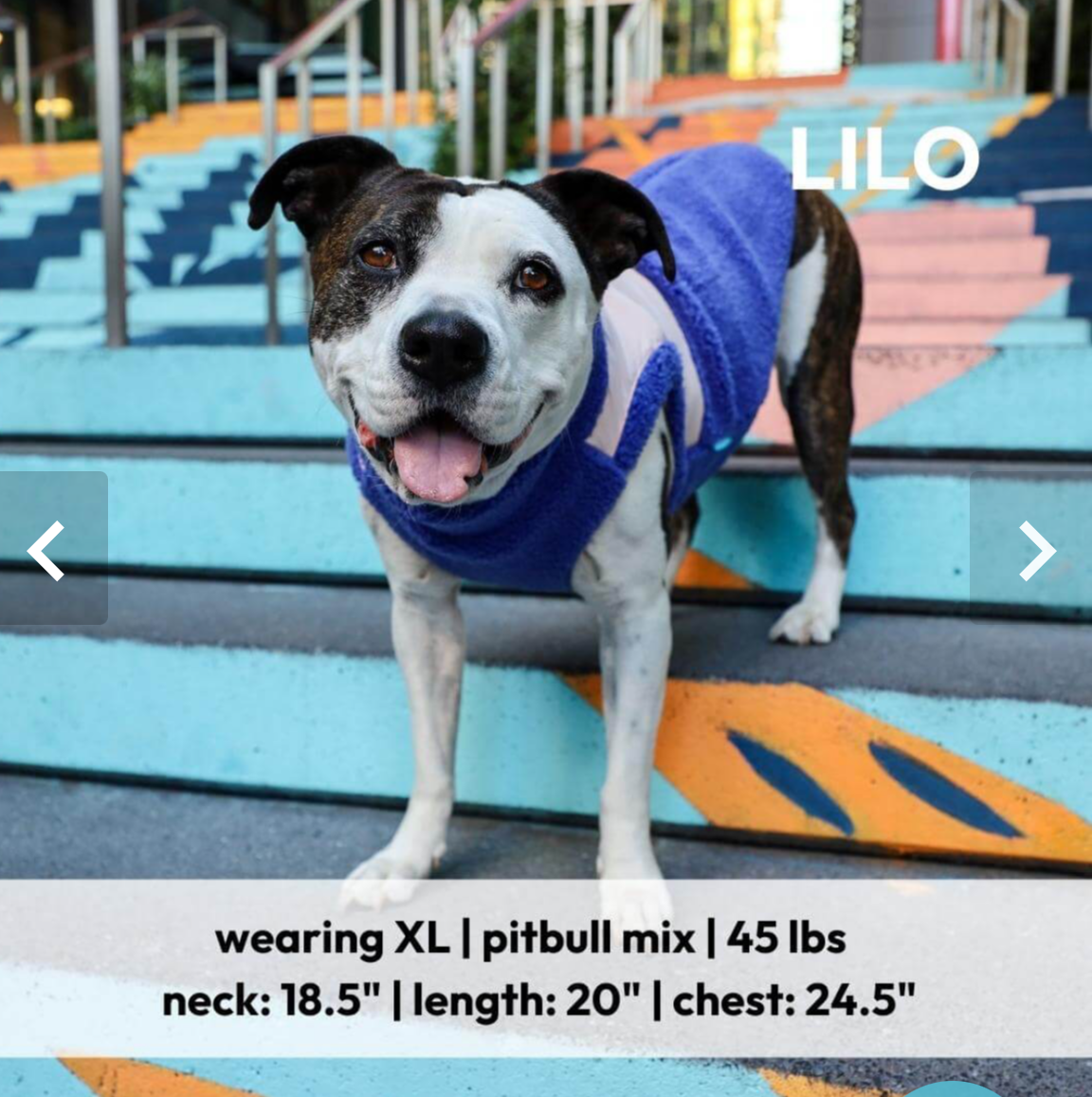 Zip Up Sherpa Vest: Hot Pink