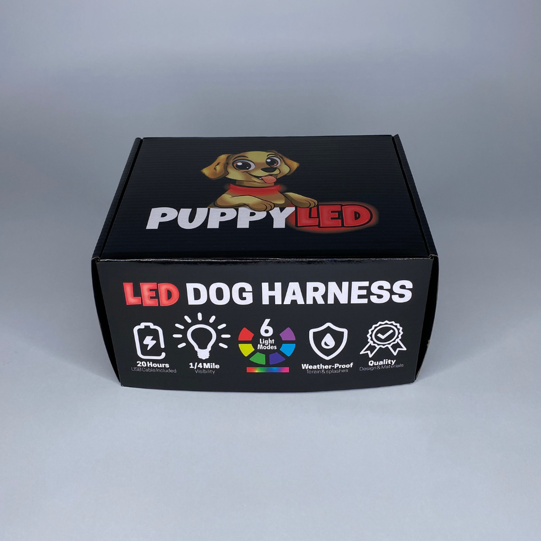 LED Dog Harness