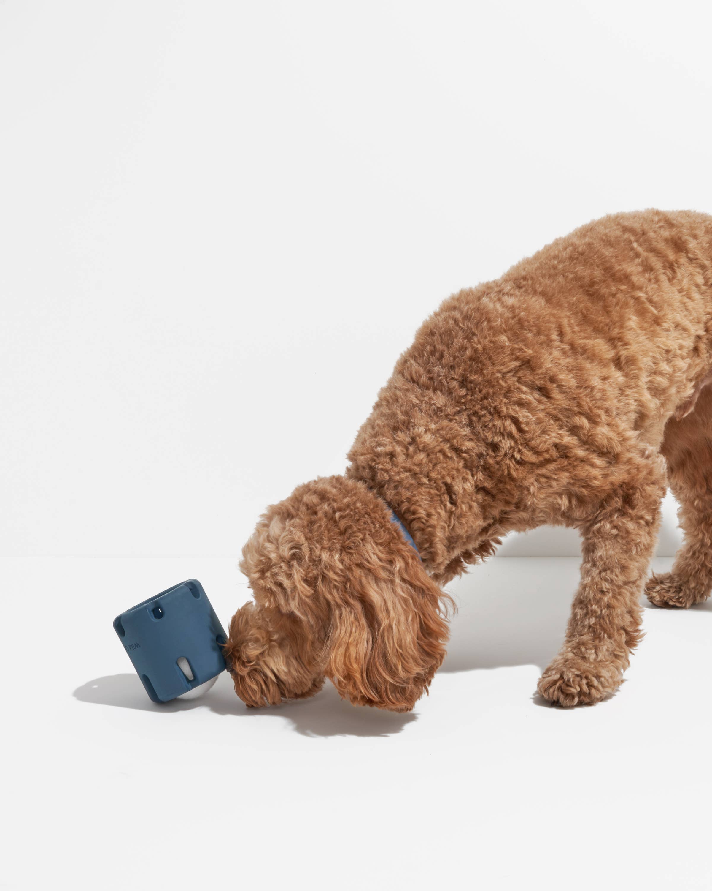 Tennis Tumble Interactive Dog Toy: Moonstone