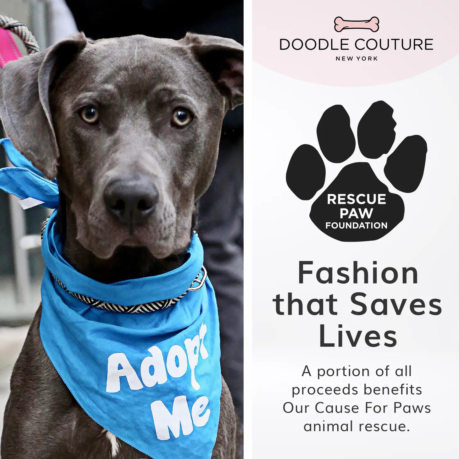 The Runway Harness - City Denim