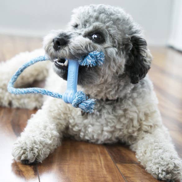 KONG® Puppy Goodie Bone w/Rope Chew Toy XS