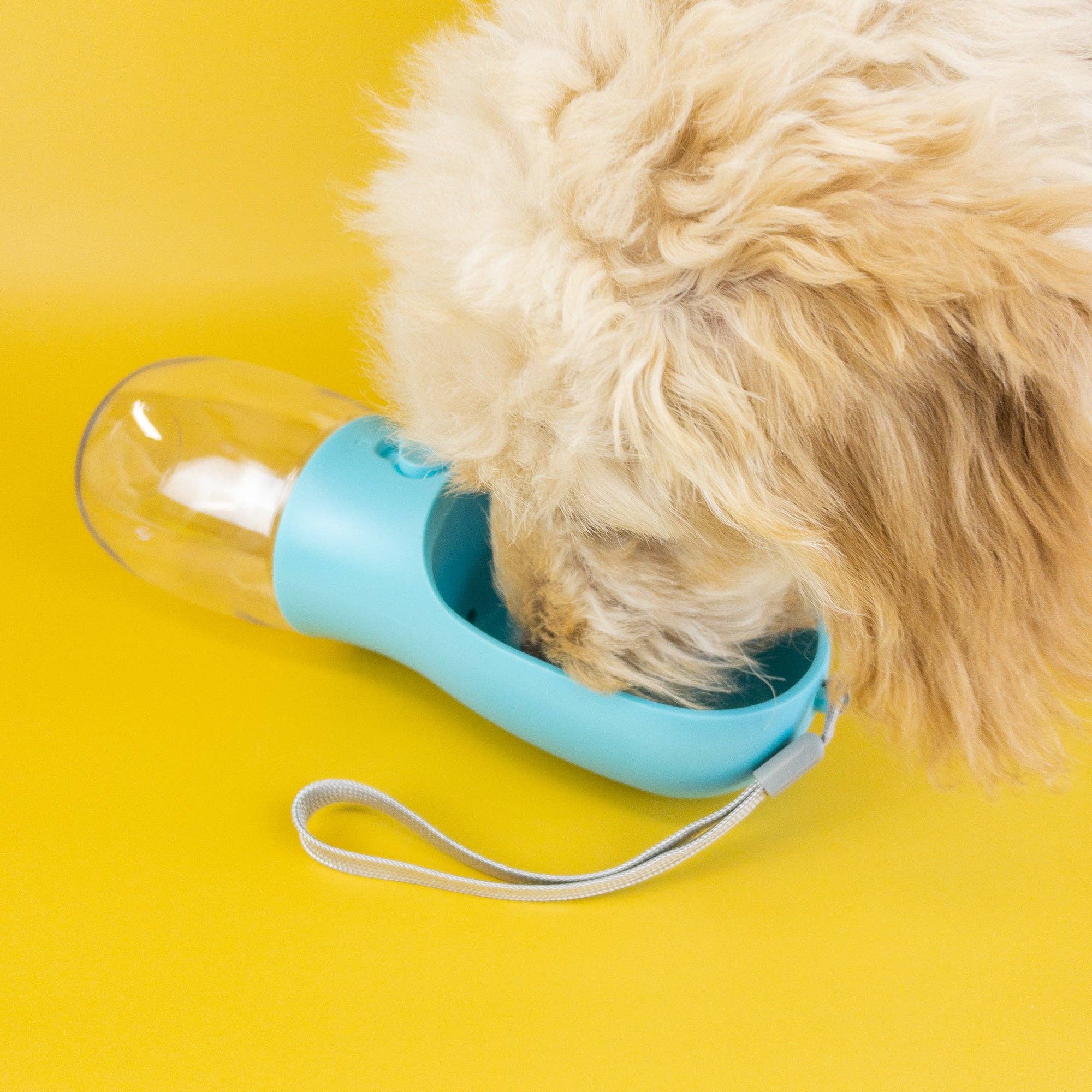 Pet Water Bottle: Turquoise