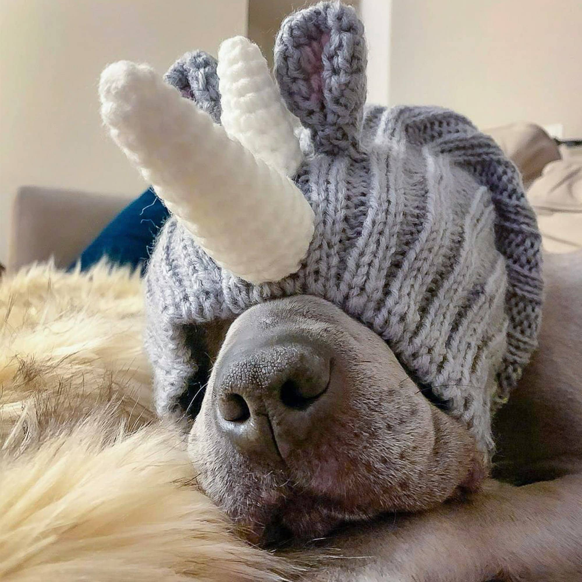 Rhino Dog Snood