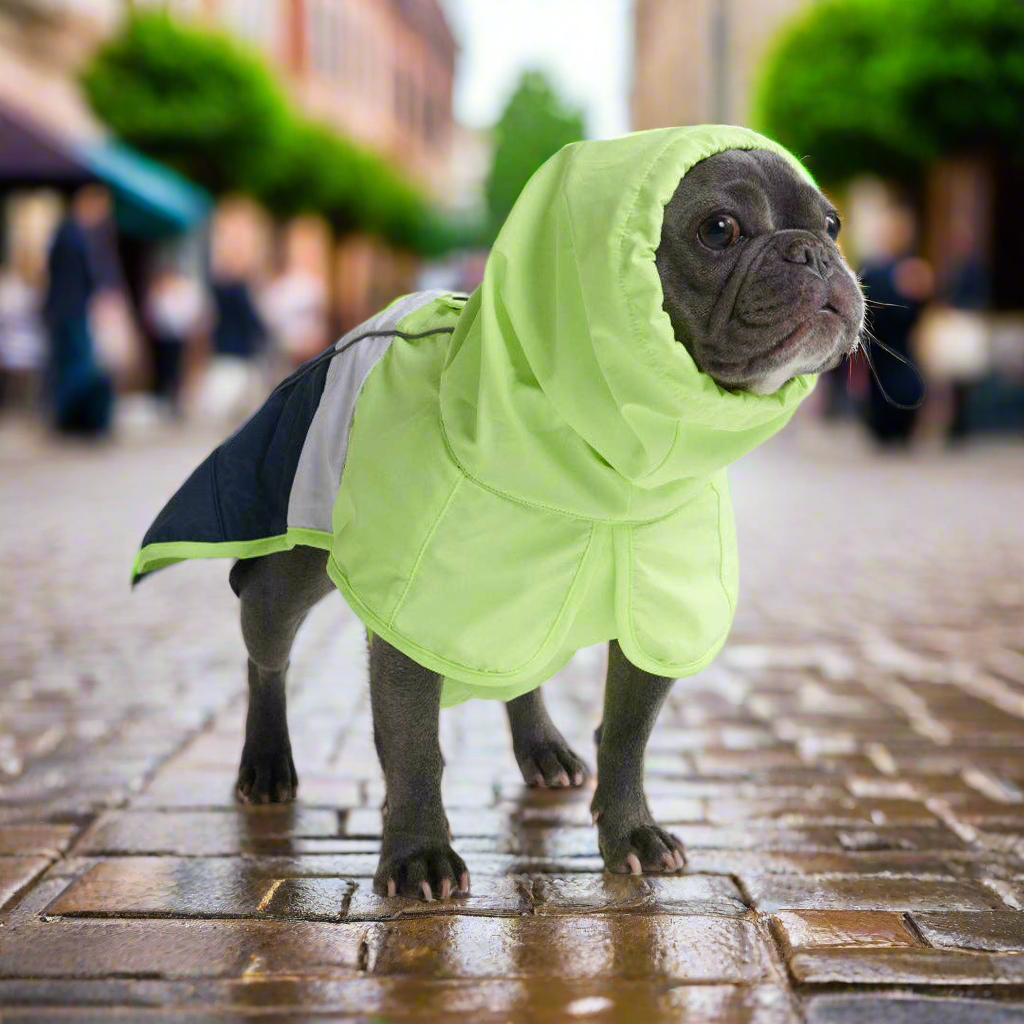 Breatheshield™ Dog Raincoat  - Lime White Navy