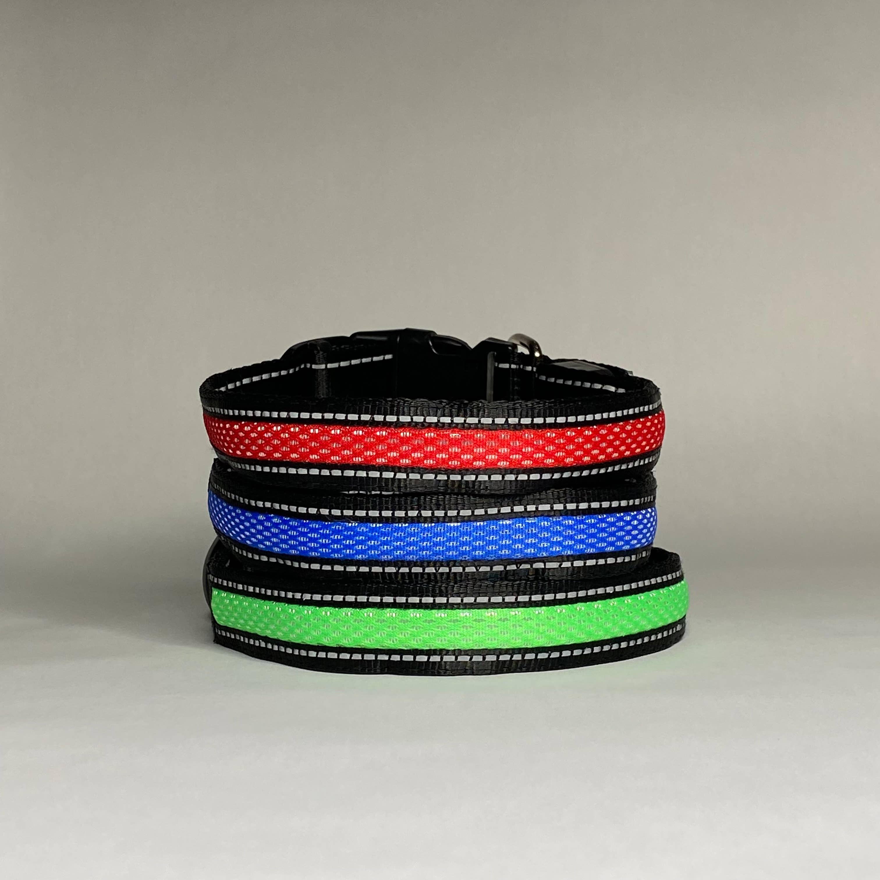 LED Dog Collar: Blue