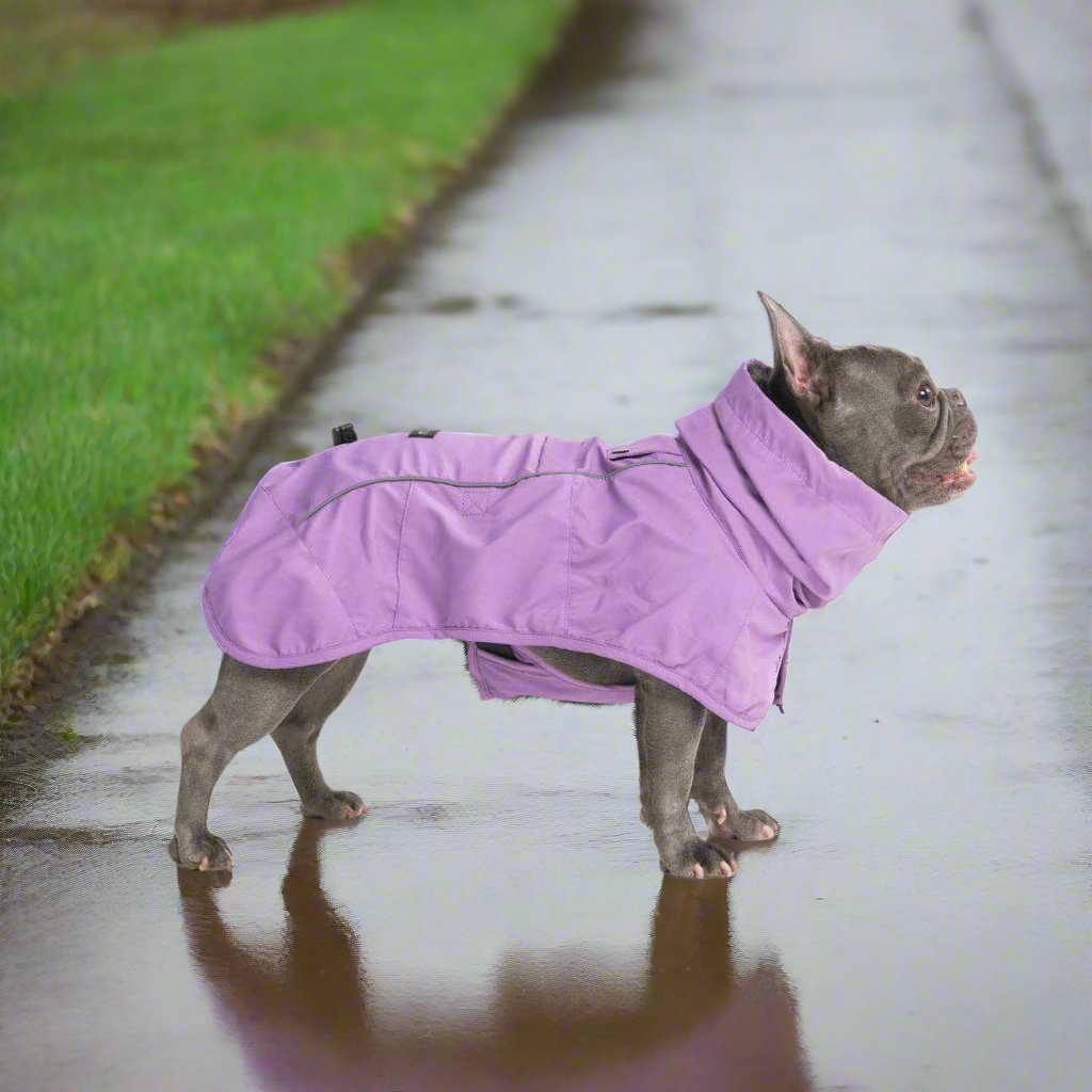 Breatheshield™ Dog Raincoat - Purple
