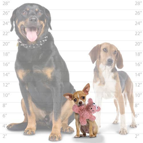 Mighty Jr Microfiber Ball Pig, Durable, Squeaky Dog Toy - Small