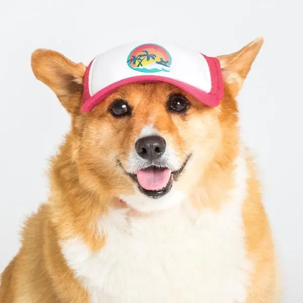 Surfer Dog Trucker Hat for Dogs