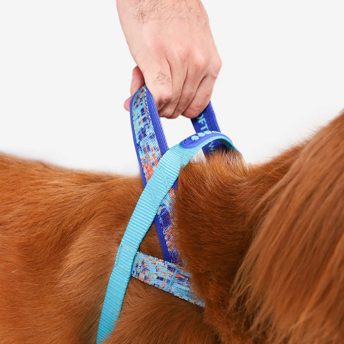 Error #404 | SofterWalk Harness