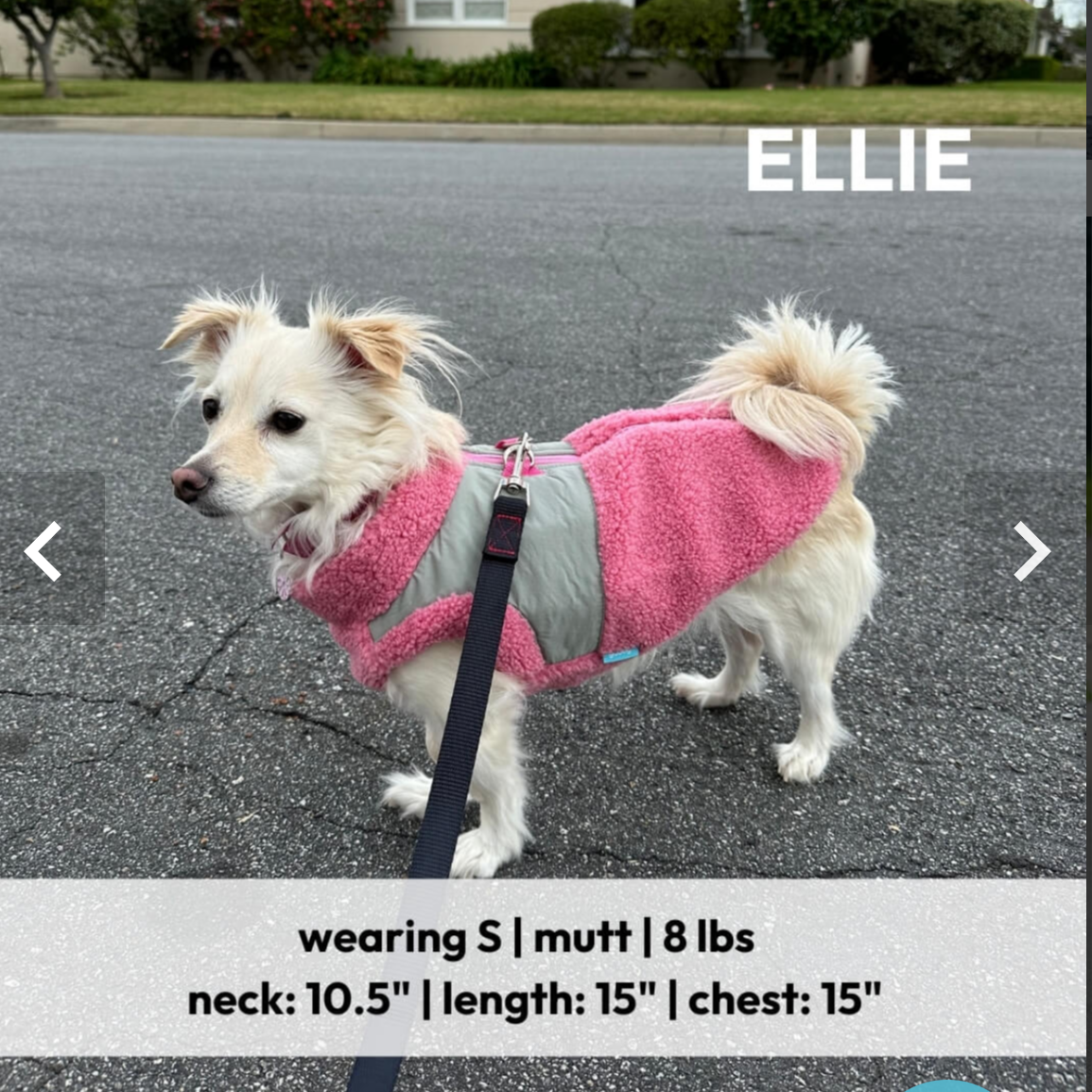 Zip Up Sherpa Vest: Hot Pink