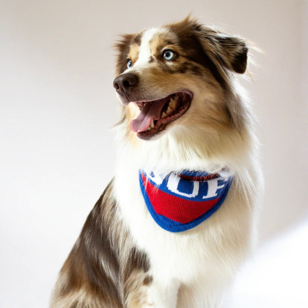 Buffalo Knit Bandana