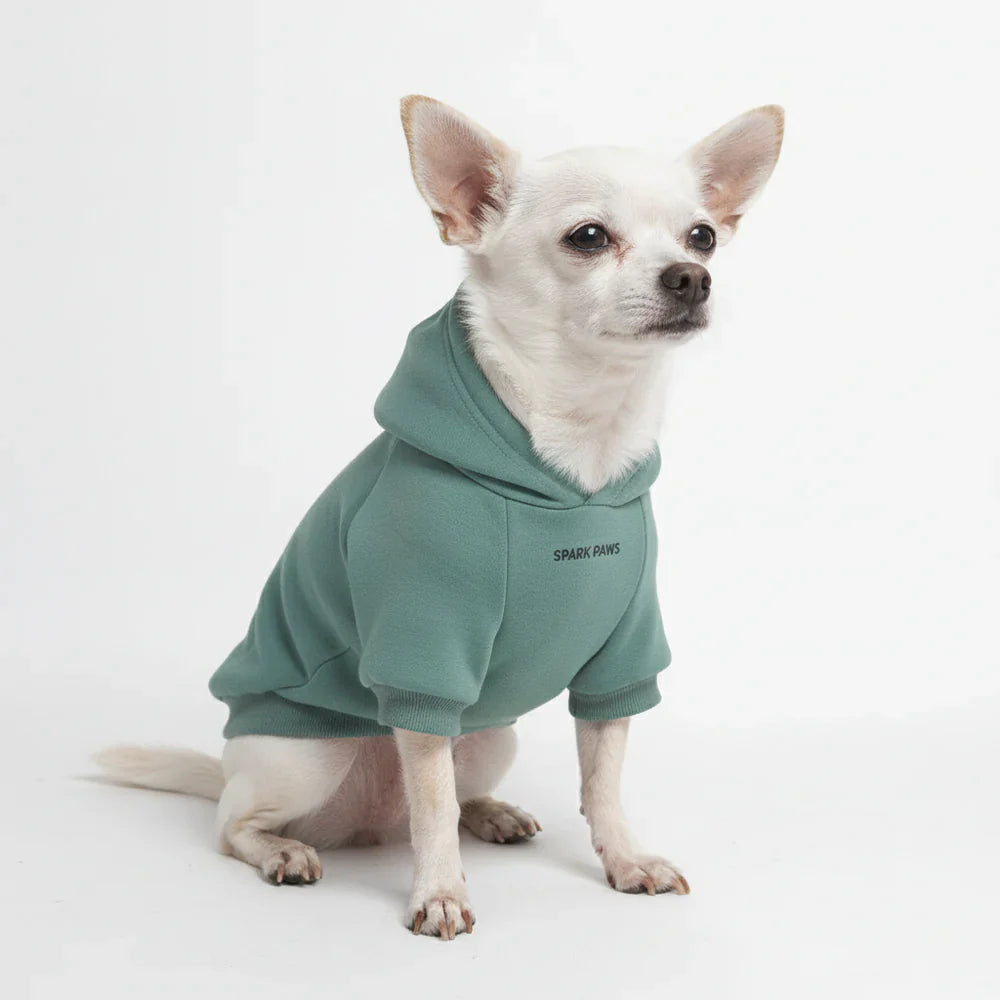 Essential Dog Hoodie - Teal