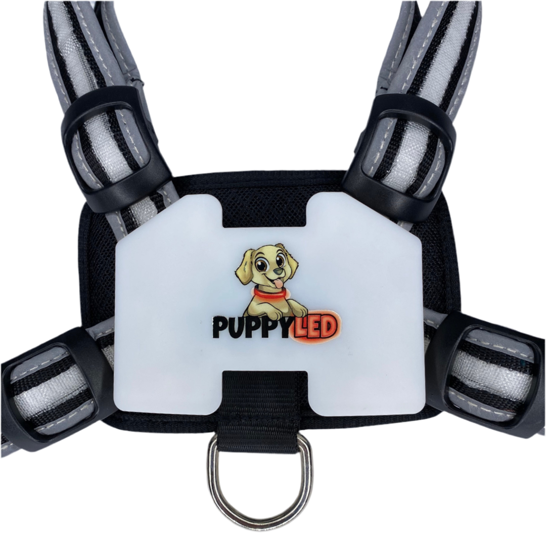 LED Dog Harness