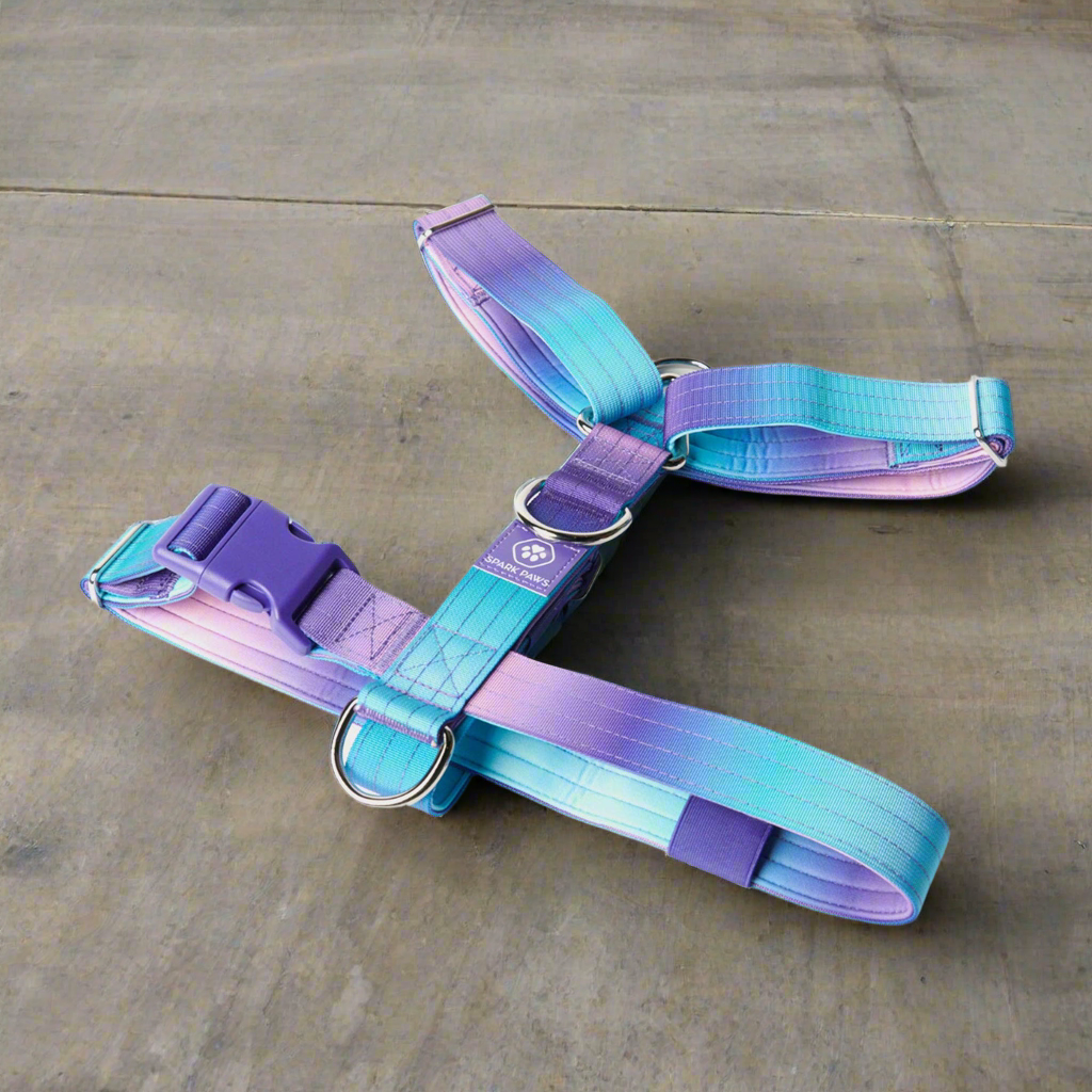 Comfort Control No-Pull Dog Harness - 90s Retro