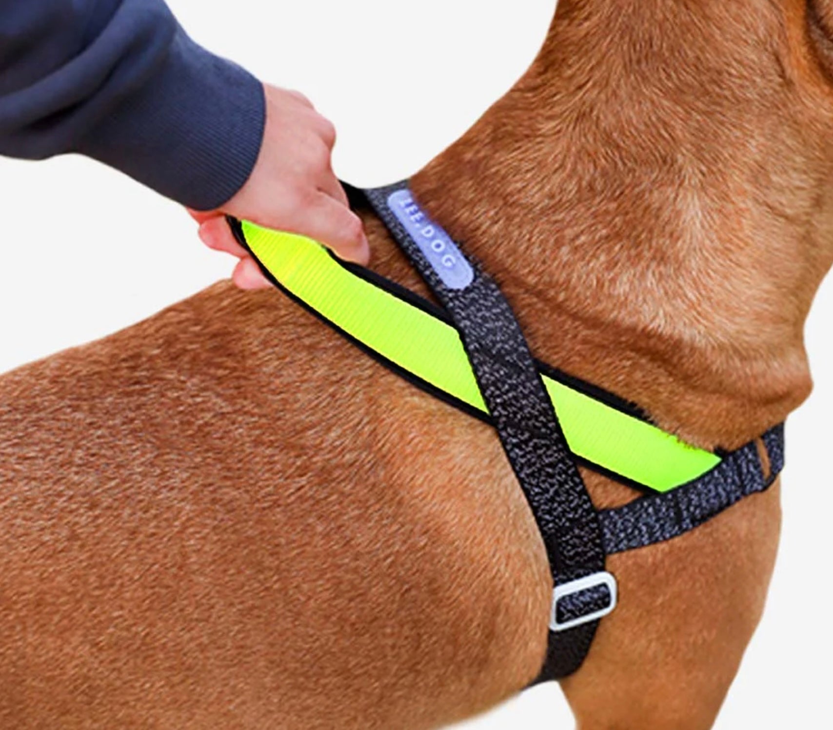 NOX | SofterWalk Harness