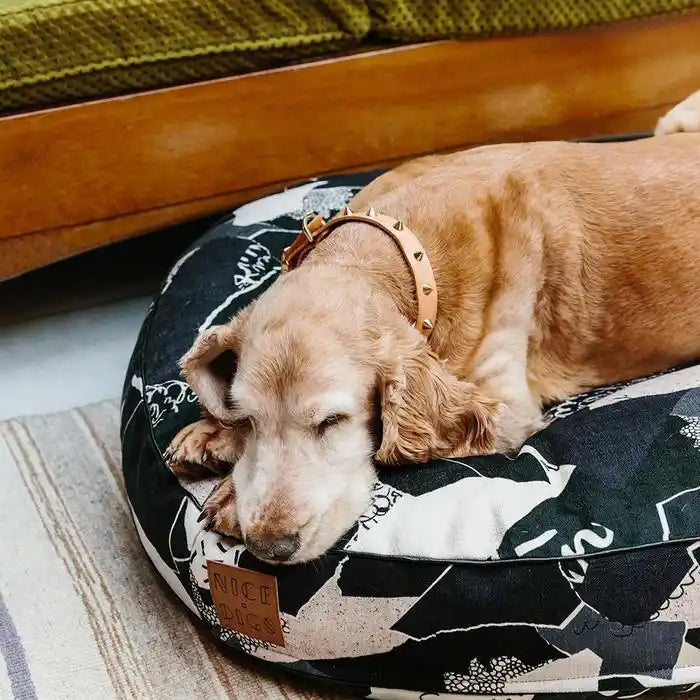 Smooth Spike Leather Dog Collar - Gold Tan