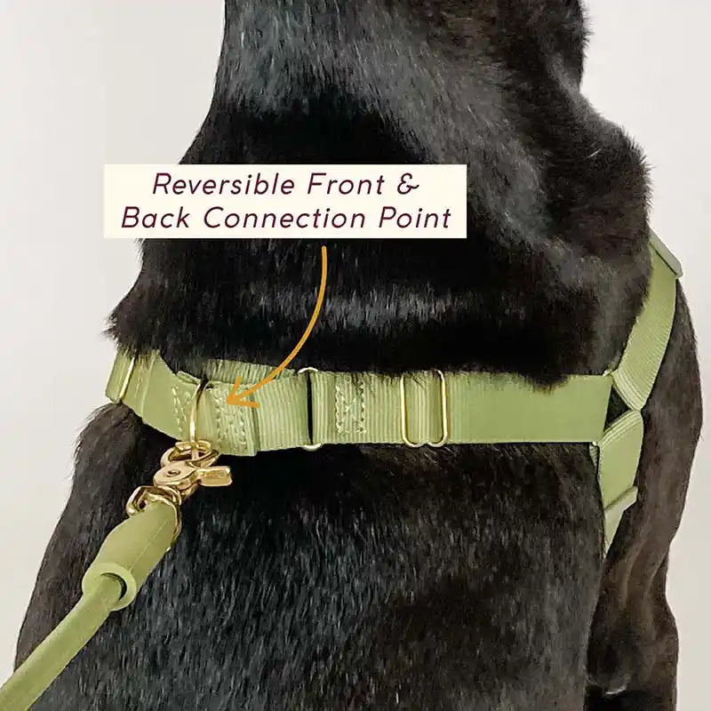 Roam Harness