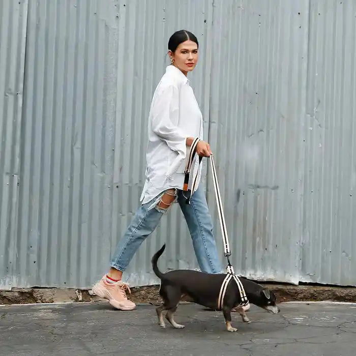 Le Classic Dog Harness