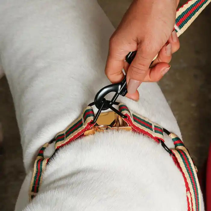 Le Classic Dog Harness