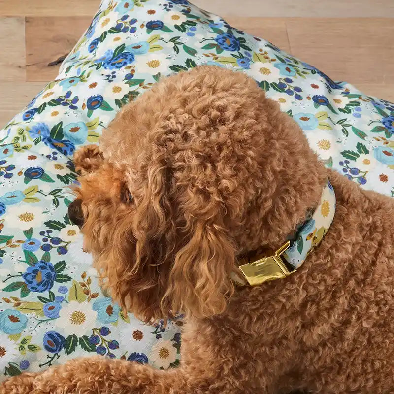 Vintage Blossom Spring Dog Collar