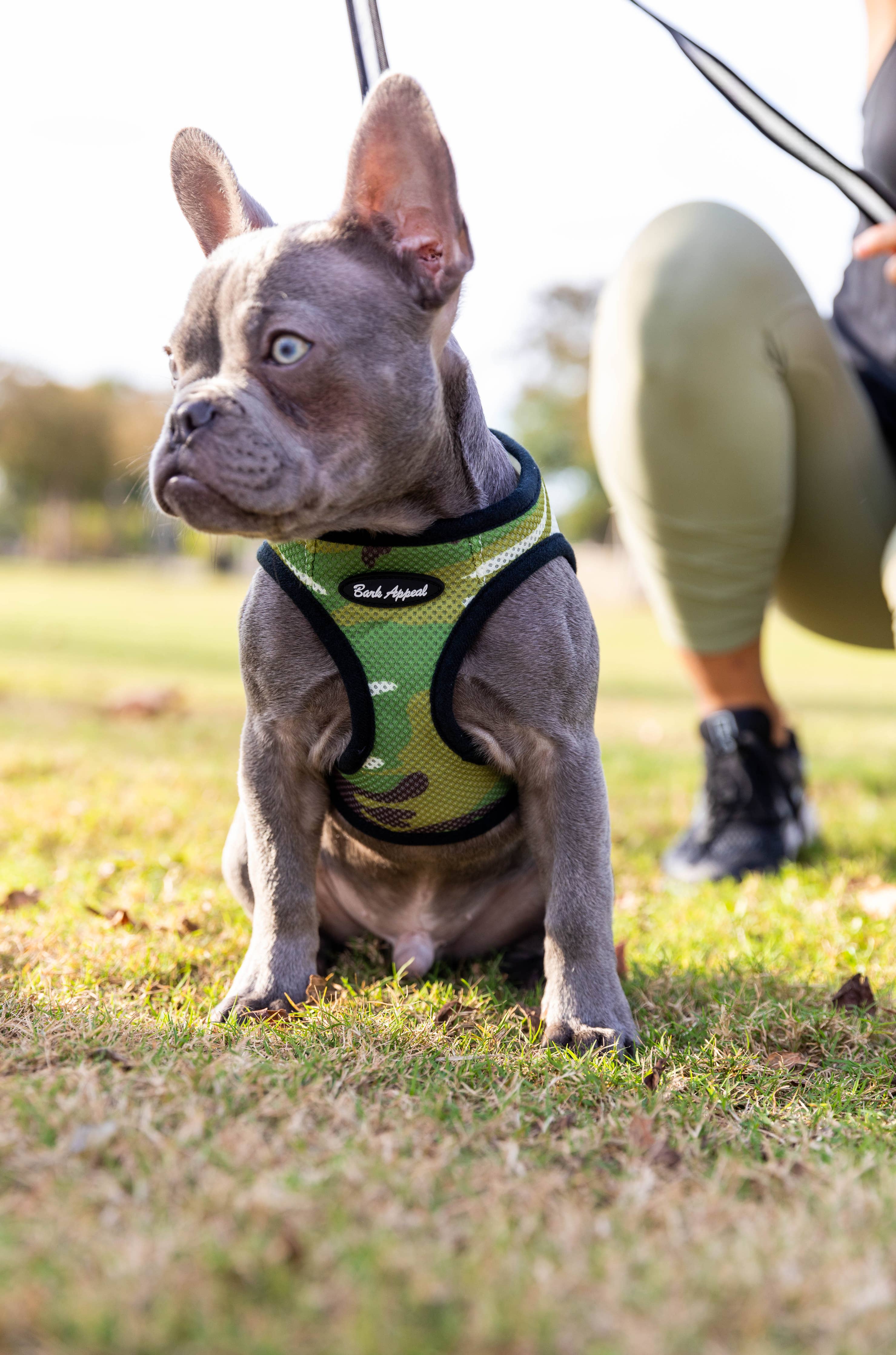 Mesh Step in Harness: Lime Green