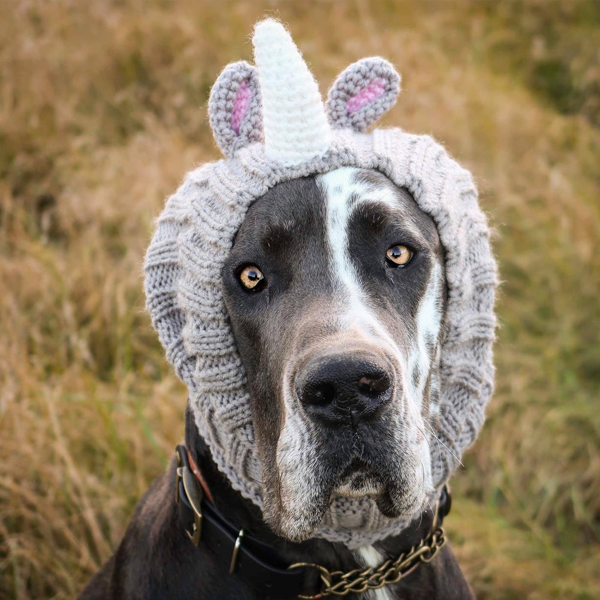 Rhino Dog Snood
