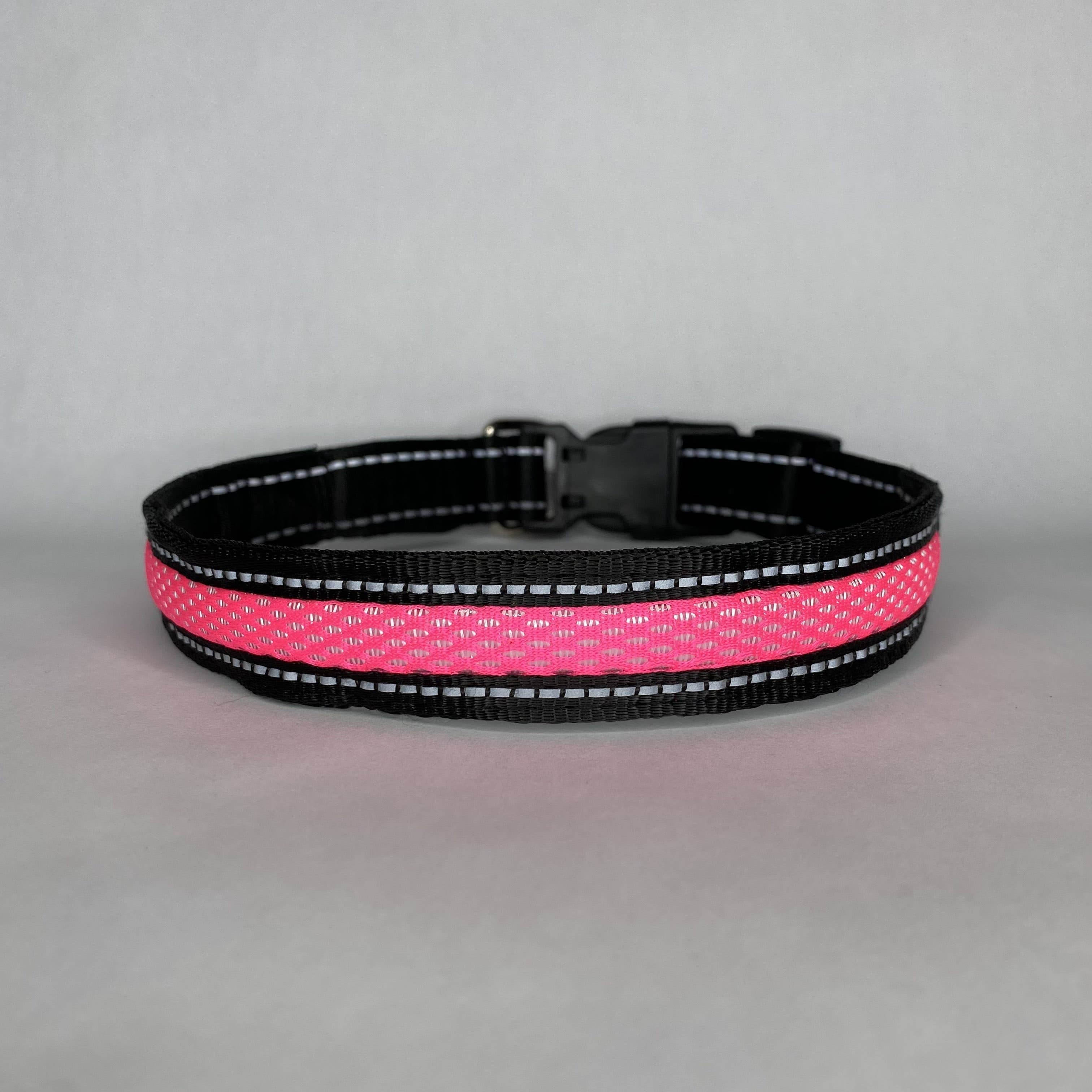 LED Dog Collar: Blue