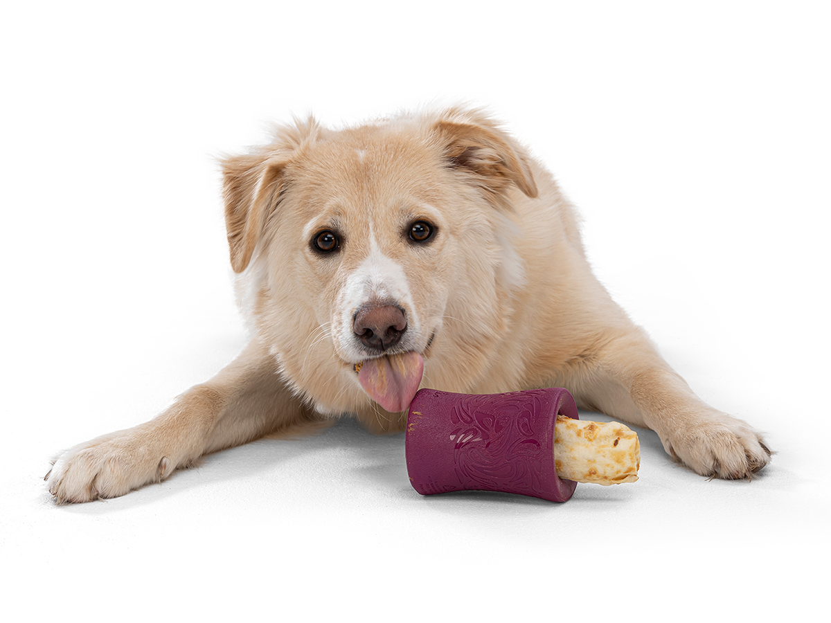 Funnl™ Dog Chew Treat-Dispensing Dog Toy