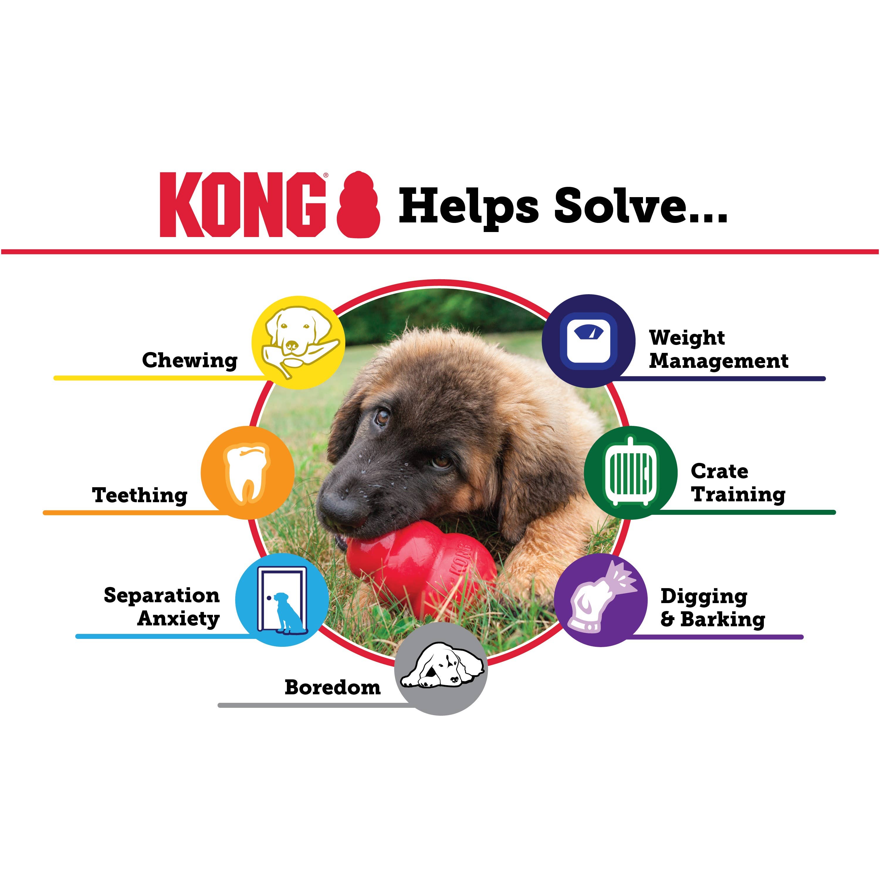 KONG® Classic Dog Chew Toy Small