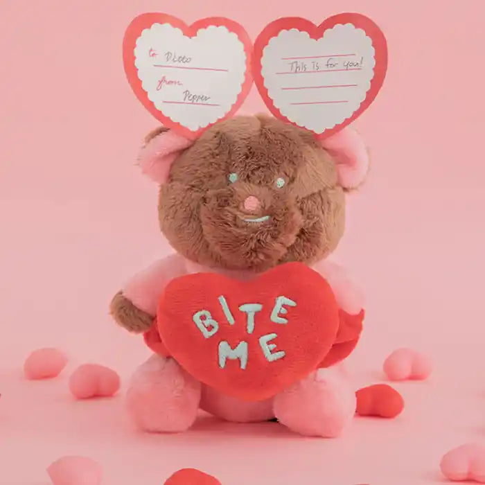 Love Bear "Nosework" Dog Toy