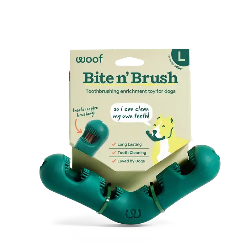 Bite N' Brush Toothbrushing Dog Toy