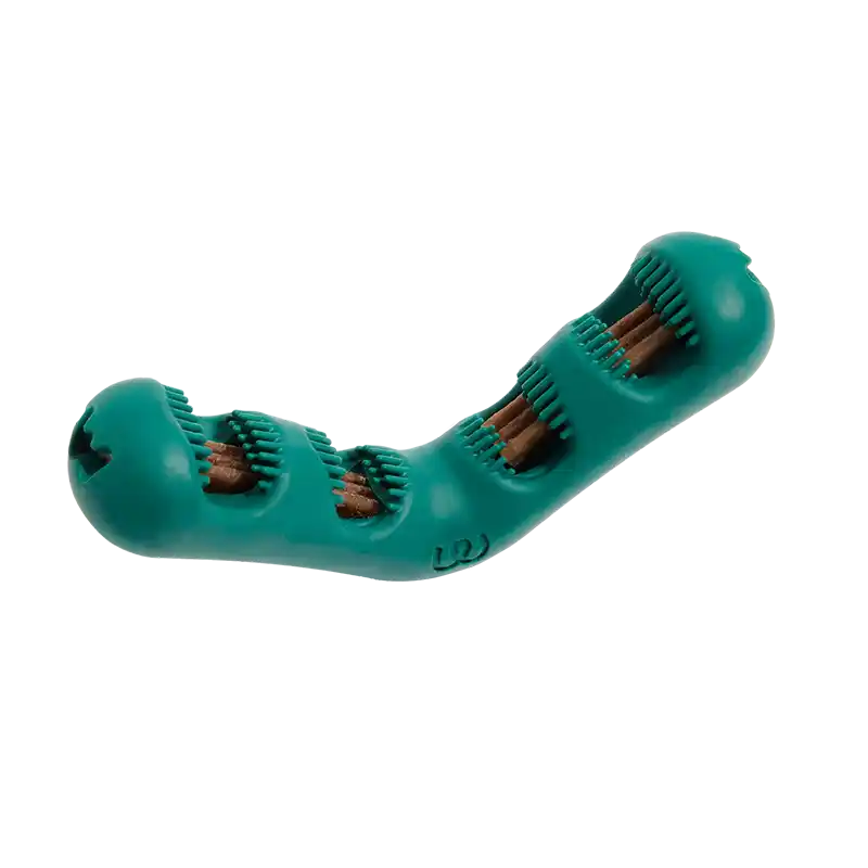 Bite N' Brush Toothbrushing Dog Toy