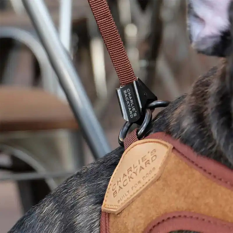 Easy Adjustable Dog Harness