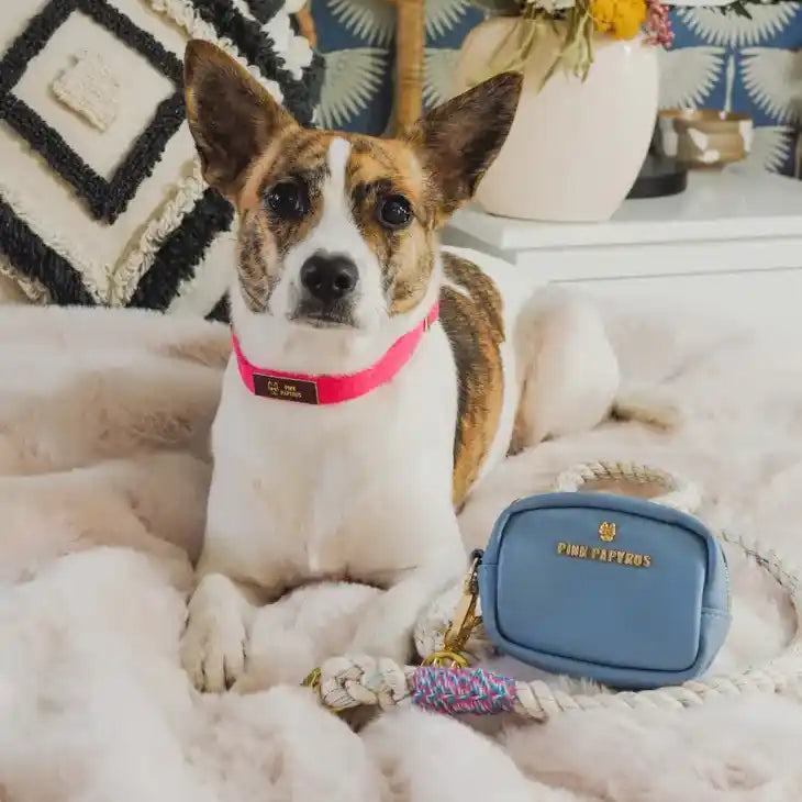 BFF Mini Waste Bag Dispenser