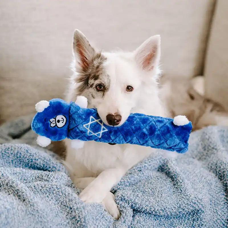 Hanukkah Jigglerz® - Blue Bear - Holiday Dog Toy