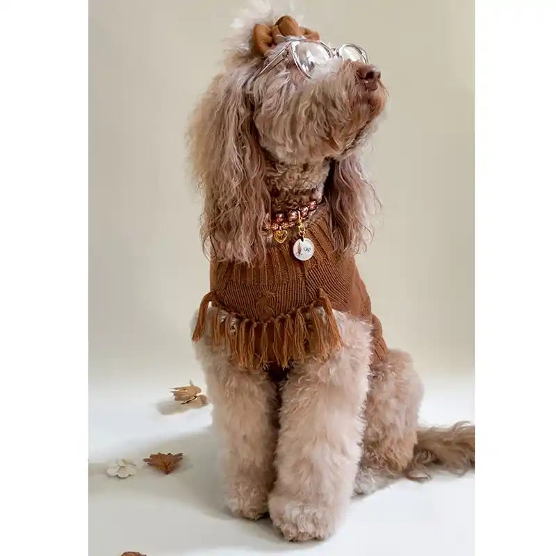 Boho Java Dog Sweater