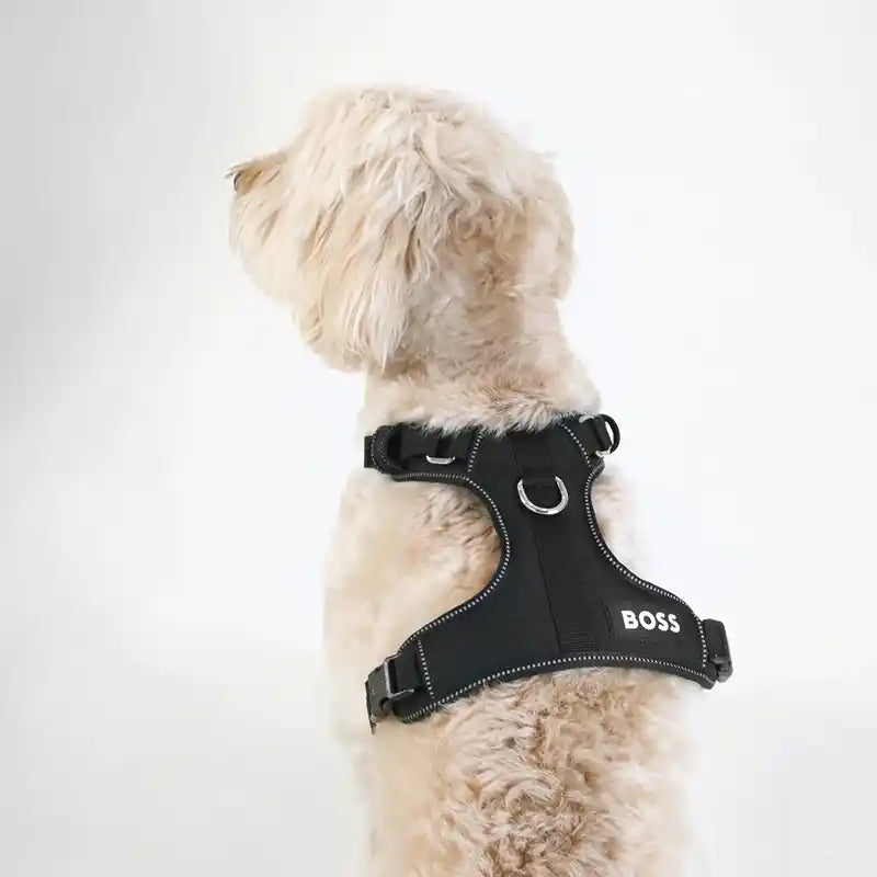 BOSS Dog Essentials Harness