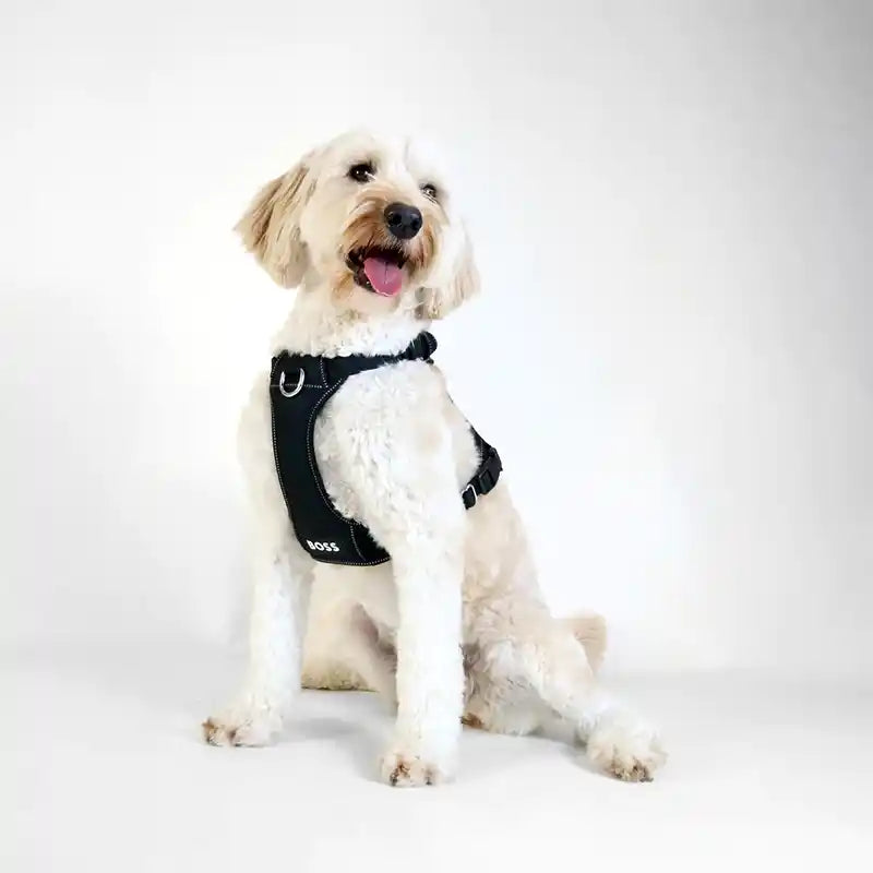 BOSS Dog Essentials Harness