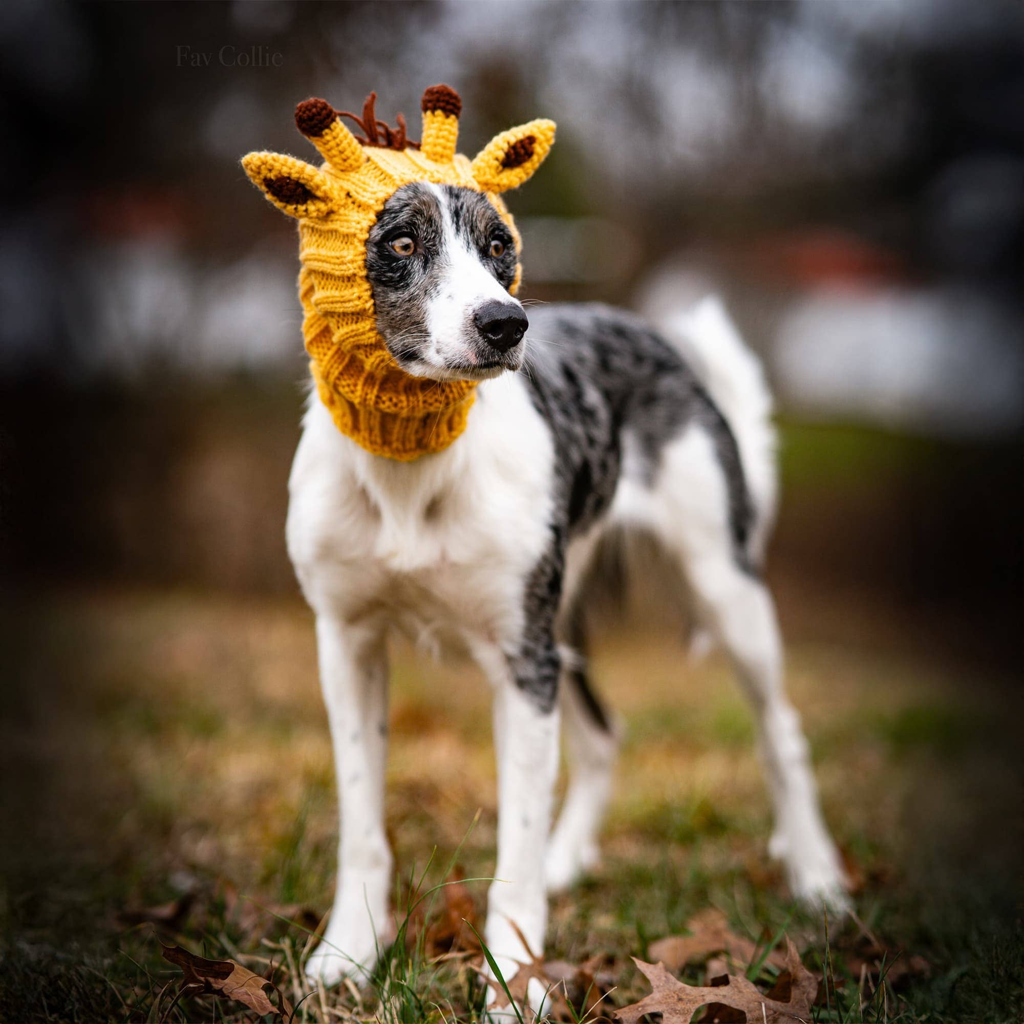 Giraffe Dog Snood
