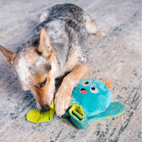 Nina Ottosson Silly Legz Octopus Interactive Dog Puzzle Toy