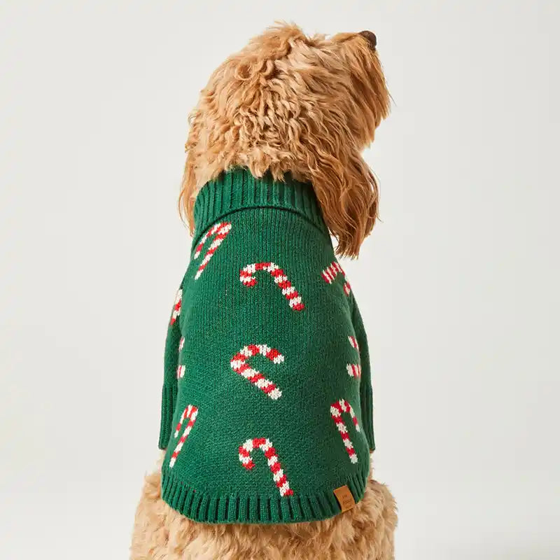 Evergreen Candy Canes Dog Sweater