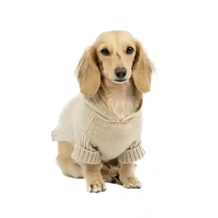 Cashmere Dog Hoodie